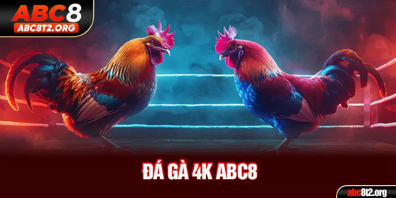 Đá gà 4k