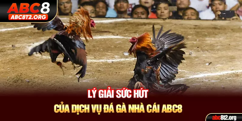 Lý giải sức hút của dịch vụ đá gà nhà cái ABC8